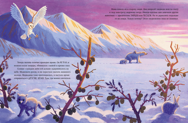 Изображение товара Книга CLEVER Белый медвежонок. Приключения в Арктике, твердая обложка (Шармахер-Шрайбер Кристина)