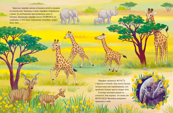 Изображение товара Книга CLEVER Малышка жираф. Приключения в саванне, твердая обложка (Шармахер-Шрайбер Кристина)