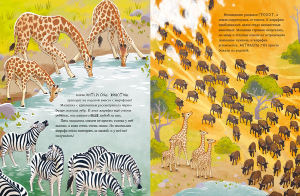 Изображение товара Книга CLEVER Малышка жираф. Приключения в саванне, твердая обложка (Шармахер-Шрайбер Кристина)