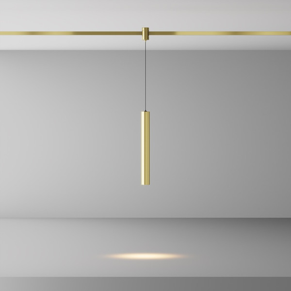 Изображение товара Трековый светильник Maytoni Focus Led Flarity TR155-1-5W3K-BS