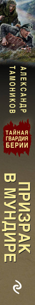 Изображение товара Книга Эксмо Призрак в мундире, мягкая обложка (Тамоников Александр)