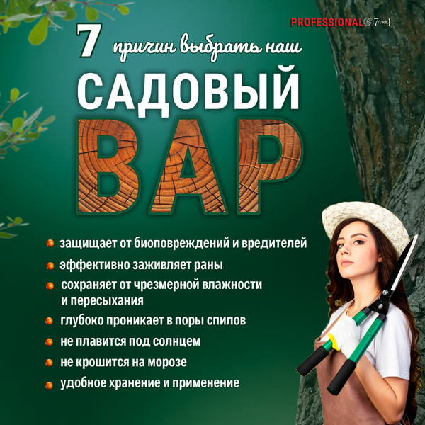 Изображение товара Средство защиты растений 7плюс1 Professional Садовый вар (2x520мл)