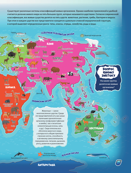 Изображение товара Энциклопедия АСТ Животные, твердая обложка