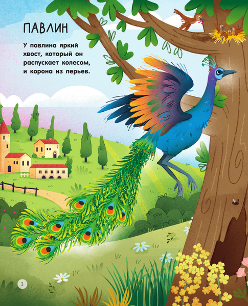 Изображение товара Энциклопедия АСТ Животные на ферме, твердая обложка (Цоппи Лоретта)