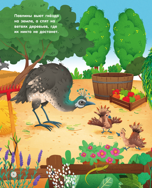 Изображение товара Энциклопедия АСТ Животные на ферме, твердая обложка (Цоппи Лоретта)