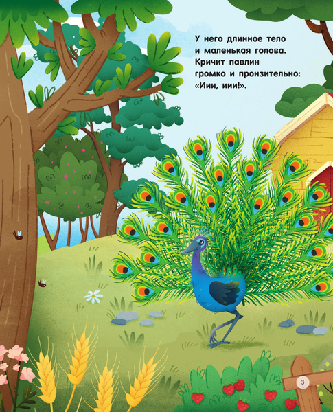 Изображение товара Энциклопедия АСТ Животные на ферме, твердая обложка (Цоппи Лоретта)