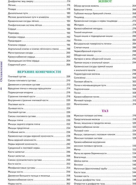 Изображение товара Раскраска-антистресс АСТ Анатомия Абрахамса, твердая обложка