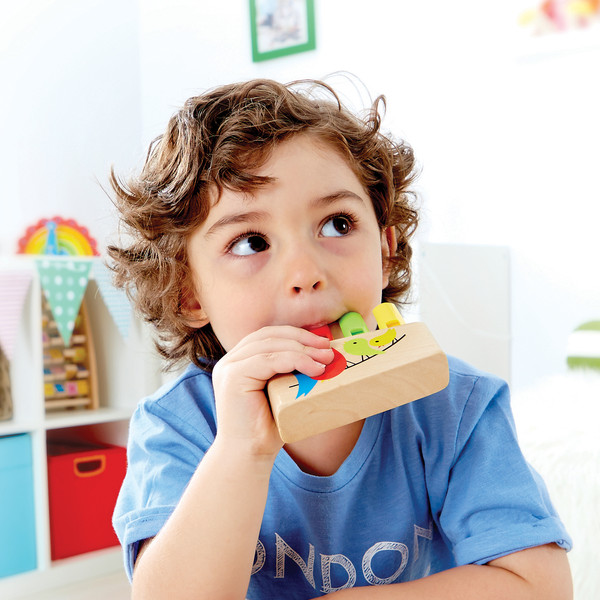 Изображение товара Музыкальная игрушка Hape Волшебный звук / E1025_HP