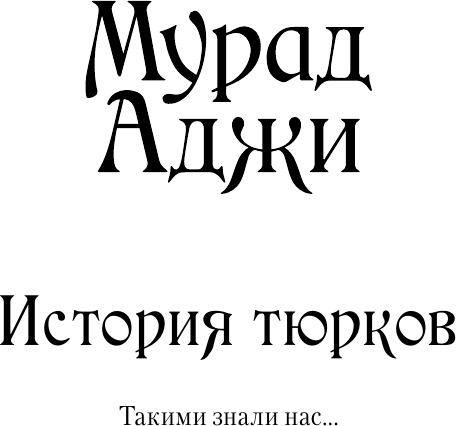 Изображение товара Книга АСТ История тюрков, твердая обложка (Аджи Мурад)