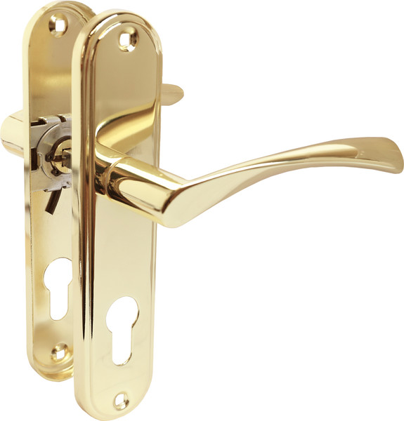 Изображение товара Ручка дверная Аллюр 103-1 61.5мм GP (латунь)