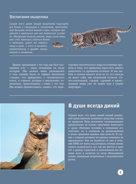 Изображение товара Энциклопедия АСТ Кошки, твердая обложка (Непомнящий Николай)