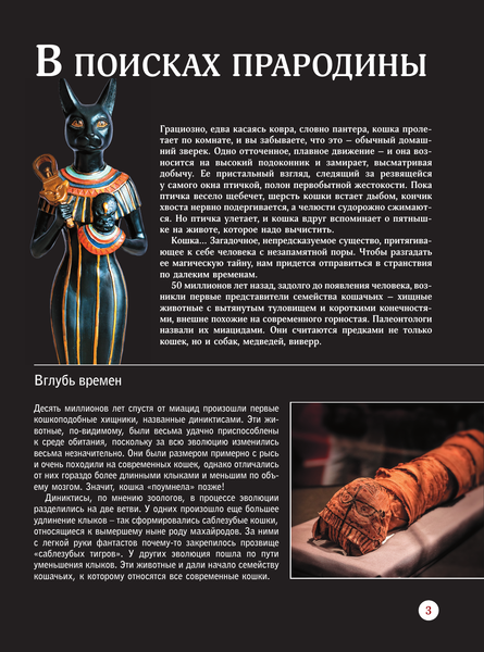 Изображение товара Энциклопедия АСТ Кошки, твердая обложка (Непомнящий Николай)