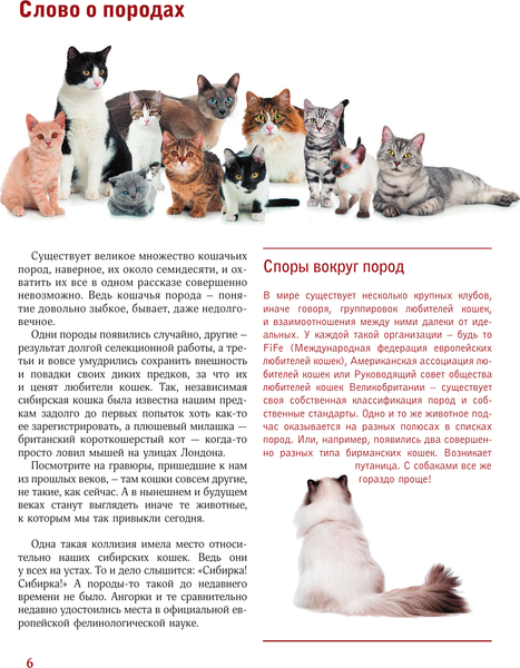 Изображение товара Энциклопедия АСТ Кошки, твердая обложка (Непомнящий Николай)