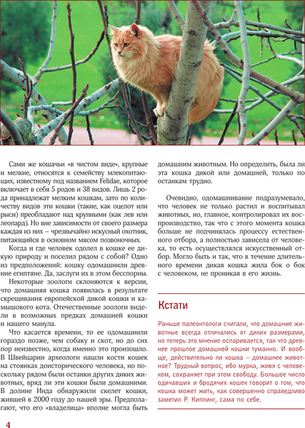 Изображение товара Энциклопедия АСТ Кошки, твердая обложка (Непомнящий Николай)