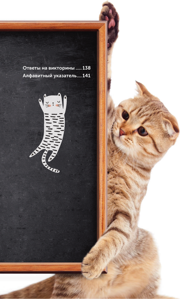 Изображение товара Энциклопедия АСТ Кошки. Полное руководство для детей, твердая обложка (Мур Арден)