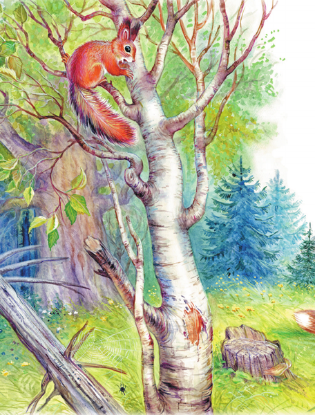 Изображение товара Книга АСТ Лучшие истории Виталия Бианки о животных, мягкая обложка (Бианки Виталий)