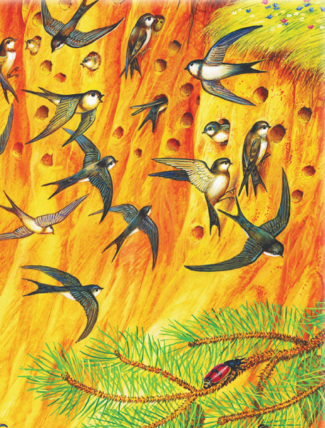 Изображение товара Книга АСТ Лучшие истории Виталия Бианки о животных, мягкая обложка (Бианки Виталий)