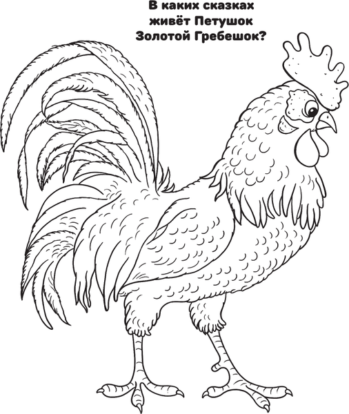 Изображение товара Раскраска АСТ Любимые сказки, мягкая обложка