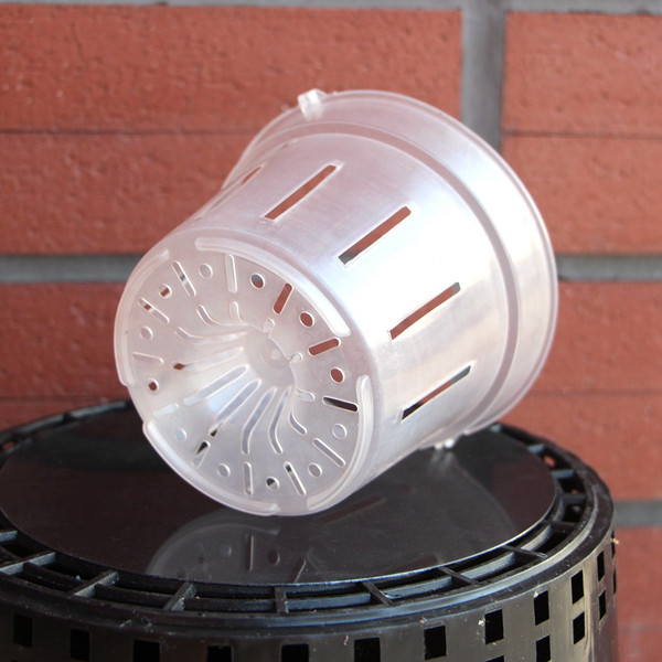 Изображение товара Вазон BOTANICA для орхидей с боковыми прорезями 18x15см (прозрачный)