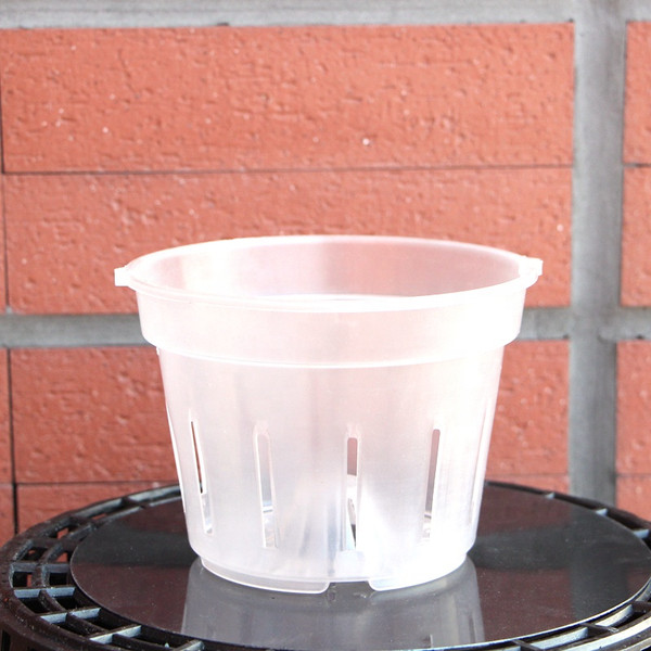 Изображение товара Вазон BOTANICA для орхидей с боковыми прорезями 18x15см (прозрачный)