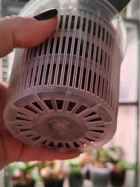 Изображение товара Вазон BOTANICA для орхидей сетчатый 14x12см (прозрачный)