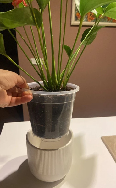 Изображение товара Вазон BOTANICA Clear дренажный 15x14см (прозрачный)