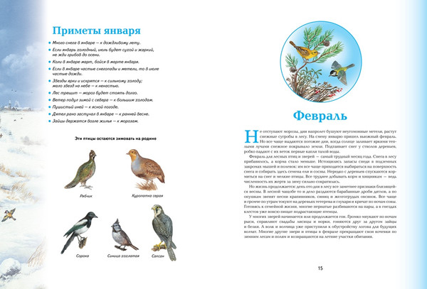 Изображение товара Энциклопедия Махаон Времена года, твердая обложка (Свечников Владимир)
