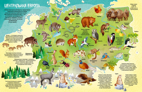 Изображение товара Энциклопедия Махаон Мир животных в картинках, твердая обложка (Барсотти Илария)