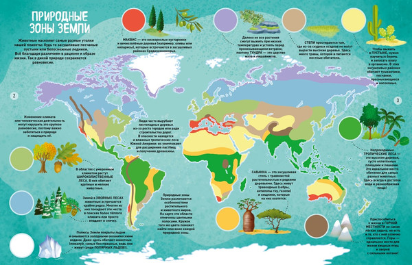 Изображение товара Энциклопедия Махаон Мир животных в картинках, твердая обложка (Барсотти Илария)