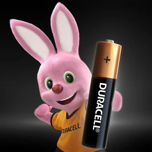 Изображение товара Комплект батареек Duracell Basic LR03/MN2400 AAA 18BP
