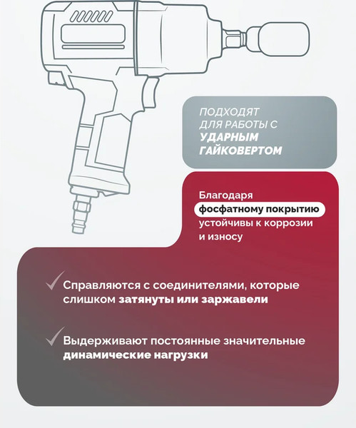 Изображение товара Универсальный набор инструментов Patron P-68262-5MPB (58985)