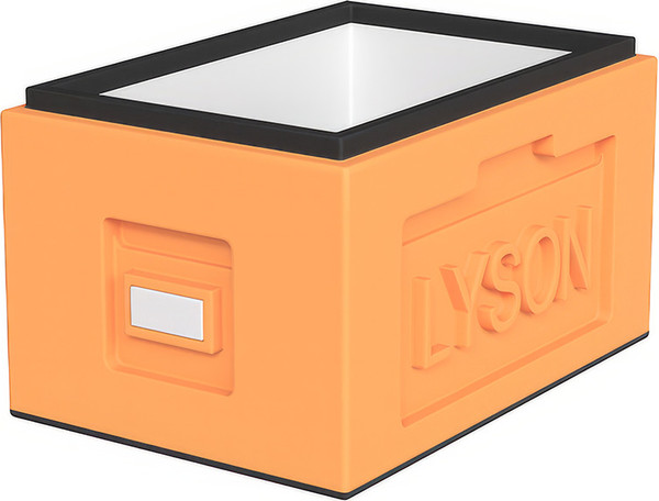 Изображение товара Корпус для улья Lyson Рут Для 6-рамочного улья 435x230 / W1166OR (оранжевый)