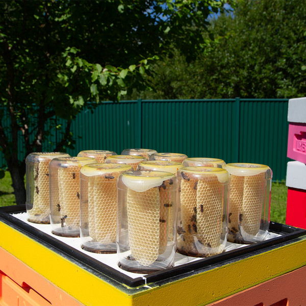 Изображение товара Подкрышник для улья Lyson Многофункциональный Для 10-рамочного улья 520x450 / W102120 (желтый)