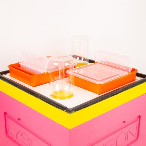 Изображение товара Подкрышник для улья Lyson Для 12-рамочного улья 520x520 / W100300 (неокрашенный)