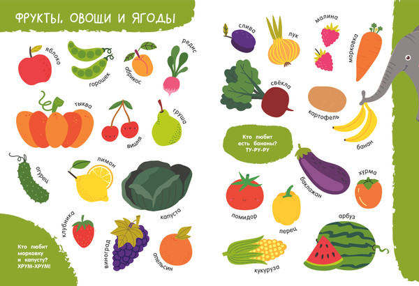 Изображение товара Развивающая книга АСТ Мои первые слова в картинках, твердая обложка (Дмитриева Валентина)