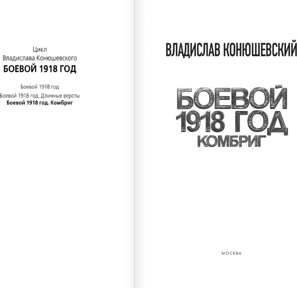 Изображение товара Книга АСТ Боевой 1918 год. Комбриг, твердая обложка (Конюшевский Владислав)