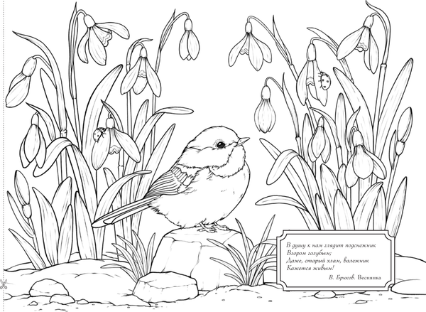 Изображение товара Раскраска АСТ Круглый год, мягкая обложка (Старцева Анна)