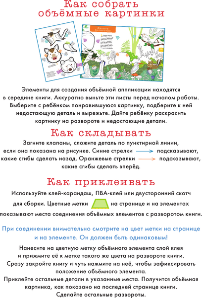 Изображение товара Раскраска АСТ Лесные звери и птицы, мягкая обложка