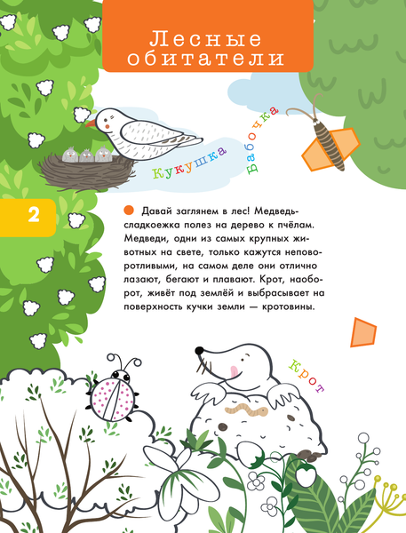 Изображение товара Раскраска АСТ Лесные звери и птицы, мягкая обложка