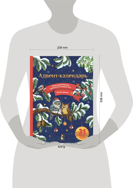 Изображение товара Книга адвент-календарь АСТ Адвент-календарь. Новогодняя ботаника: прогулка по зимнему лесу (Дудова Ксения)
