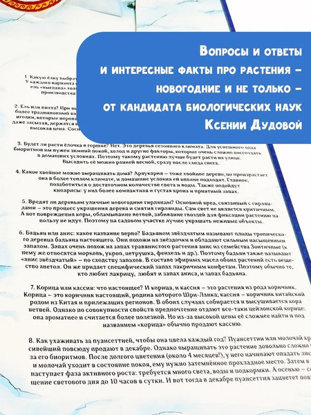 Изображение товара Книга адвент-календарь АСТ Адвент-календарь. Новогодняя ботаника: прогулка по зимнему лесу (Дудова Ксения)