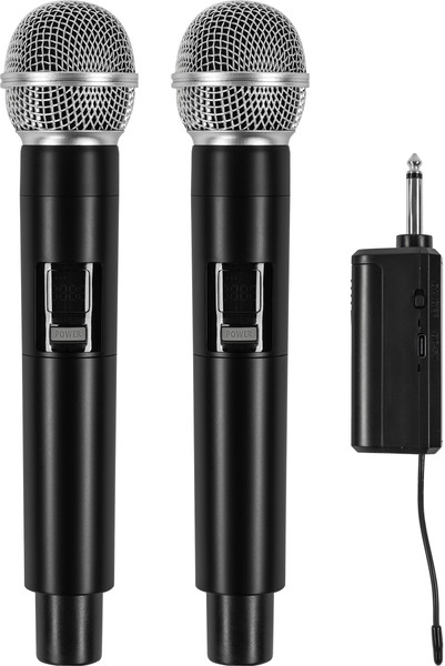 Радиосистема микрофонная ROKSO RMS-В2