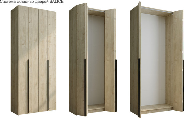 Изображение товара Шкаф-гармошка Евва Лайн ЛН-2D.450.01(1Z/1Z) (гикори кингстон)