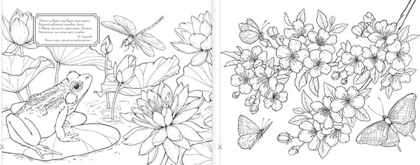 Изображение товара Раскраска АСТ Мир вокруг, мягкая обложка