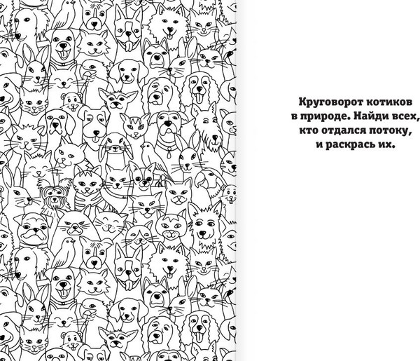Изображение товара Раскраска АСТ Найди своего котика. Раскраска на поиск предметов