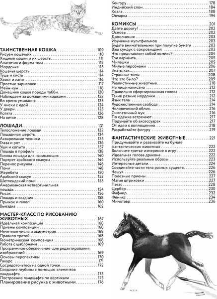 Изображение товара Энциклопедия АСТ Основы рисования животных. Более 50 проектов, твердая обложка