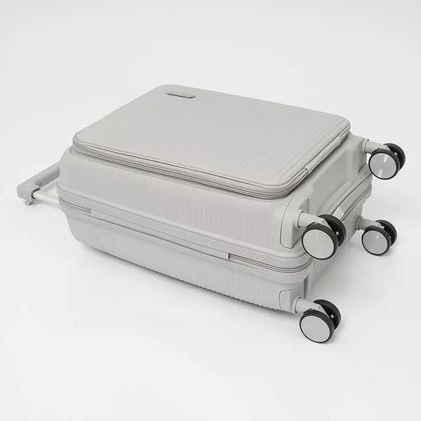 Изображение товара Чемодан на колесах Francesco Molinary 344-012/2-20SLV (серебристый)