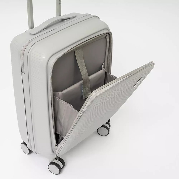 Изображение товара Чемодан на колесах Francesco Molinary 344-012/2-20SLV (серебристый)