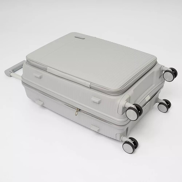 Изображение товара Чемодан на колесах Francesco Molinary 344-012/2-24SLV (серебристый)