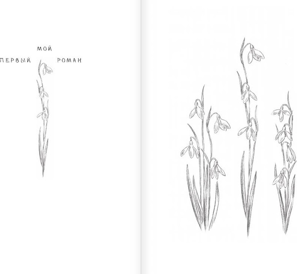 Изображение товара Книга АСТ Голос Веры, твердая обложка (Весова Юлия)